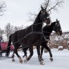 Ziemas kamanas