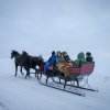 Ziemas kamanas