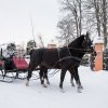 Ziemas kamanas