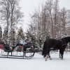 Ziemas kamanas